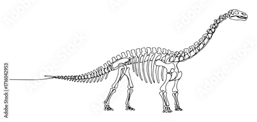 museum diplodocus skeleton exhibit monoline vector lineart
