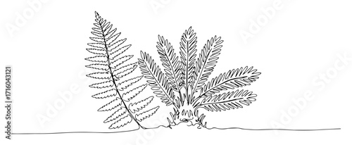 ancient fern cluster with intricate foliage monoline thin lineart vector illustration
