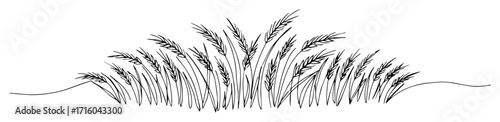 field of wheat ears continuous one line drawing vector agriculture background design