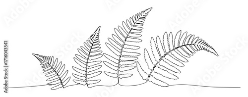 fern leaves cluster botanical nature monoline thin lineart vector design