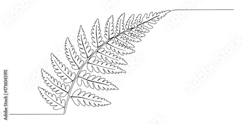 elegant fern frond botanical contour monoline vector lineart