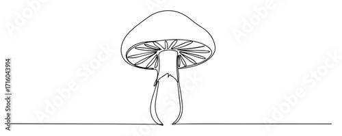 fungal stem silhouette minimalist monoline vector thin