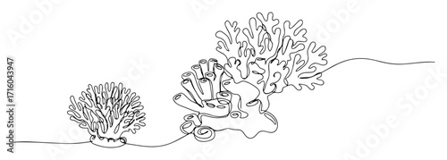 one continuous line drawing of various coral species underwater sea plants aquatic nature scene vector sketch
