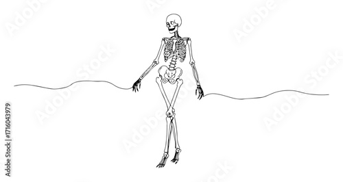 one single continuous line drawing of a full human skeleton in a walking pose anatomy and halloween concept vector illustration