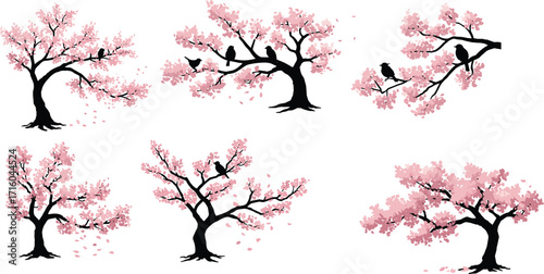 Cherry blossom tree vector set with perched birds, falling petals, seasonal bloom, spring nature design, artistic foliage, silhouette illustration style