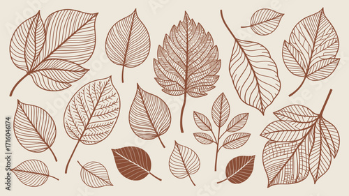 Assorted brown leaf illustrations with varying line patterns on a light beige background surface artful design