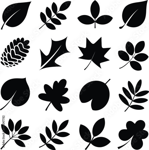 Vector leaves silhouette collection for autumn designs and botanical illustrations graphics elements 100