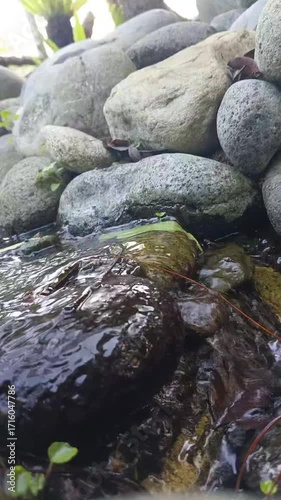Close-up of water flowing over rocks, showcasing nature's beauty and serene environment