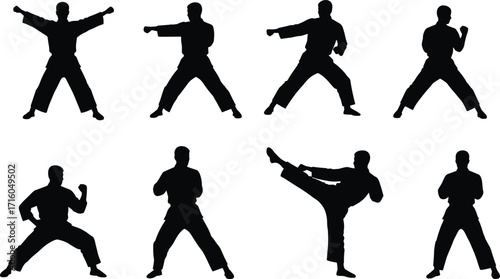 Martial arts silhouettes, karate taekwondo poses, high kicks, punching stances, defensive movements, training illustration, combat practice, fitness exercise, martial discipline