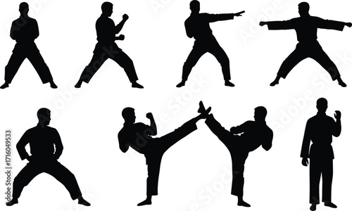 Martial arts silhouettes, karate poses, kung fu stances, taekwondo kicks, self defense training, combat practice, martial artist illustration, fitness exercise, sports action, dynamic movement
