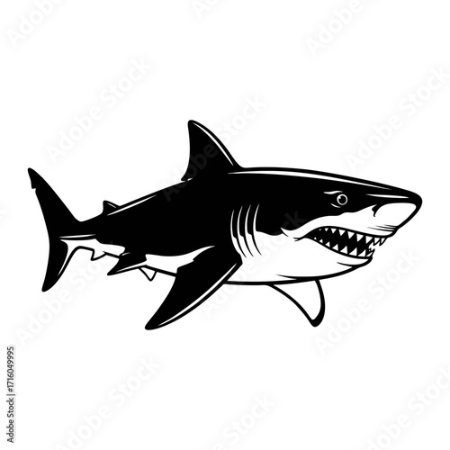 Black and white vector illustration of the prehistoric fish Megalodon. Plain white background.