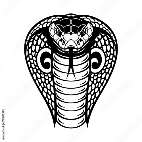 Black and white vector illustration of a cobra snake. Front view. White background.