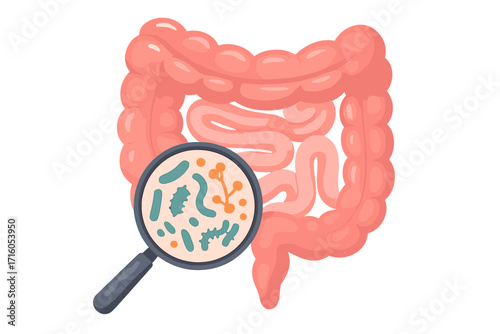 Gut microbiome analysis with magnifier. Leaky gut, SIBO, candida concepts. Human intestine, digestive system health, bacteria, flora, probiotics. Medical vector cartoon.