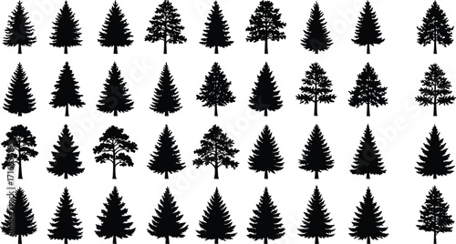 Collection of 35 Tree Silhouettes with Varied Shapes and Branch Patterns for Nature Design, Botanical Study, Forest Art, and Vector Illustration