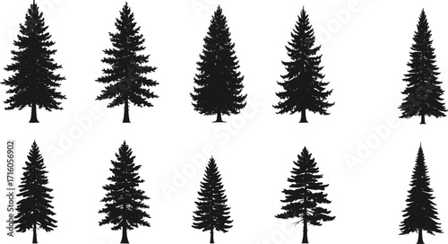 Collection of coniferous tree silhouettes with varied shapes and foliage styles, isolated on white background for forest, nature, and design themes.
