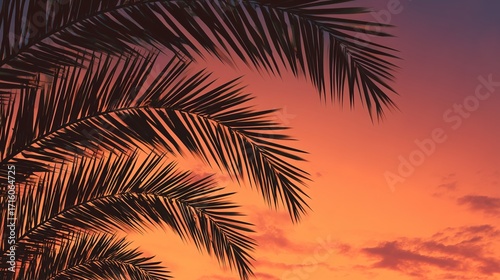 Tropical Palm Frond Silhouettes Against a Vibrant Sunset Gradient
