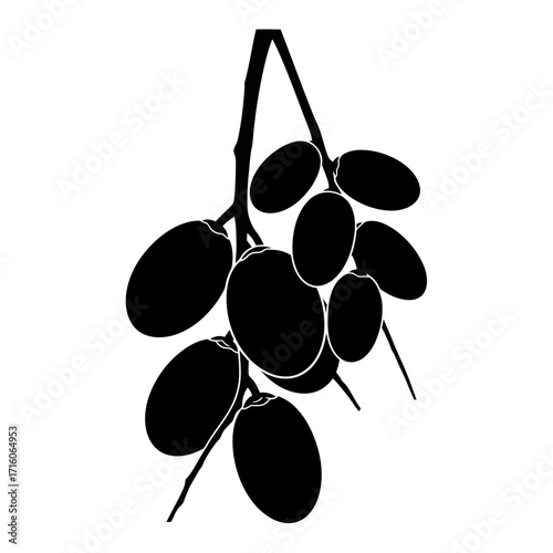 Bunch of dates silhouette isolated on white background