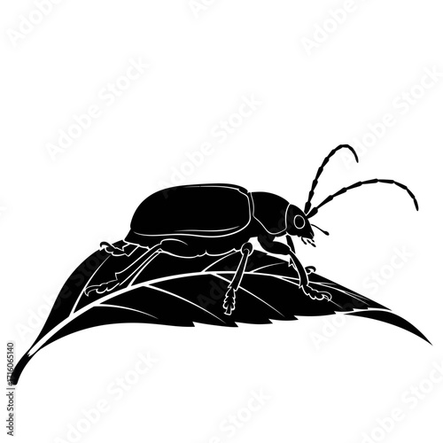 Black beetle silhouette on a leaf isolated on white background