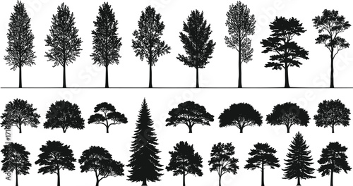 Collection of diverse tree silhouettes including coniferous and deciduous types, isolated on white background for nature, forest, landscape, and design themes.