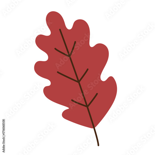 Red autumn oak leaf isolated on white background, simple seasonal botanical illustration