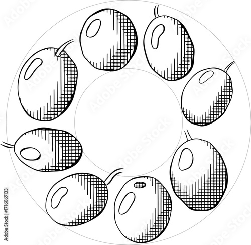Olive black berry circle square template. Vector graphic line ink black and white illustration. Fruitless rosemary, bay leaf circle frame for card, food cosmetic label