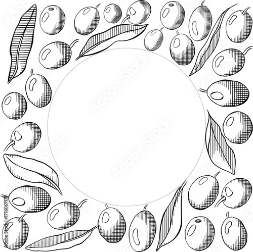 Olive oil design template. Olive green berry and leaves square circle round frame template. Vector graphic line ink black and white illustration. Banner, product packaging, design concept.
