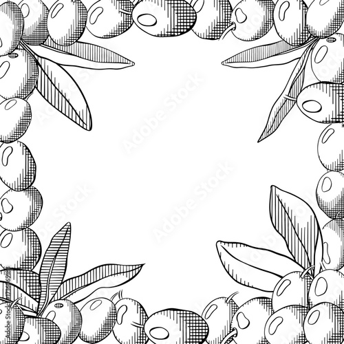 Olives background. Olive green berry and leaves square frame template. Vector graphic line ink black and white illustration. Mediterranean food menu design in pastel colors.