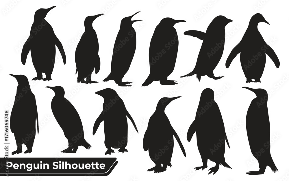 Obraz premium Penguin silhouettes sheet