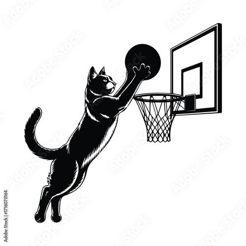 Agile black cat silhouette in mid air dunking a basketball silhouette