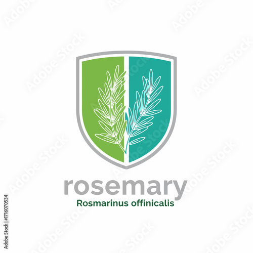 vector logo herbal plants