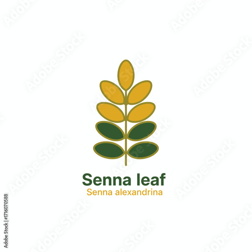 vector logo herbal plants