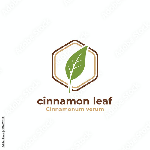vector logo herbal plants