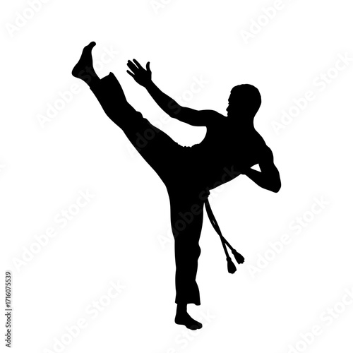Dynamic capoeira martial arts silhouette with powerful kick, athletic fitness