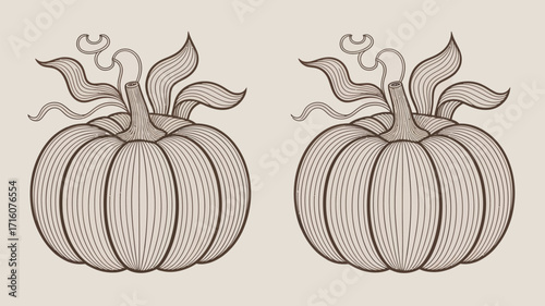 Two pumpkins with detailed line work and curling vines against a light beige background illustration