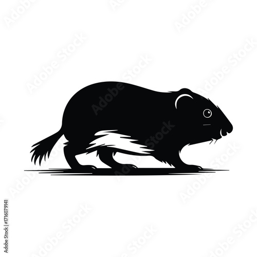 Elegant depiction of a black vole in minimalist vector illustration design showcasing unique charm
