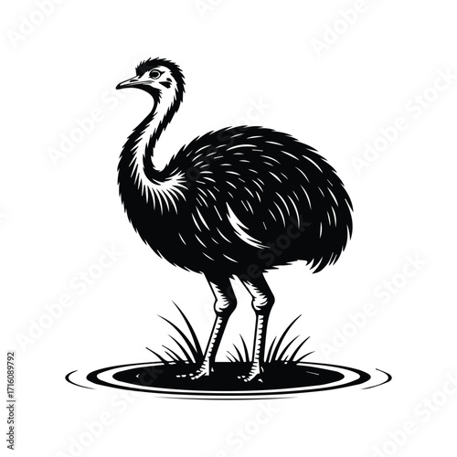 Monochromatic depiction of a Rhea standing in water with minimalist grass tufts