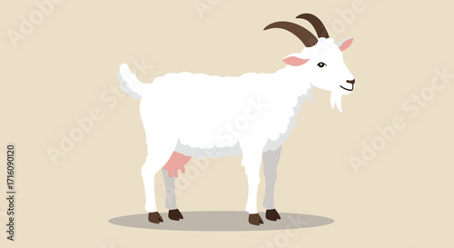 Simple flat vector illustration of a white domestic goat.