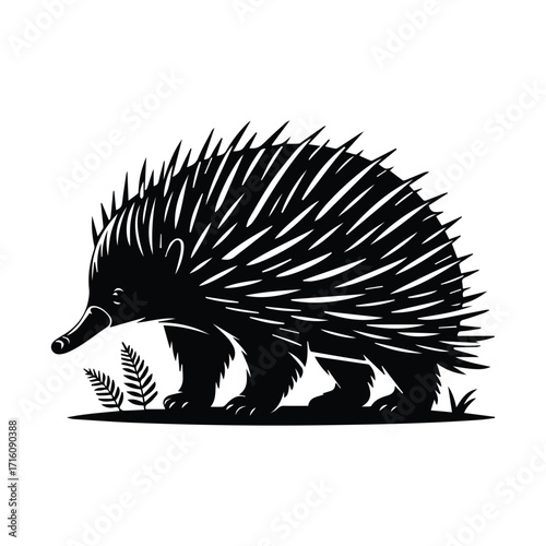 Monochrome Echidna Vector Illustration with Detailed Quills and Natural Elements Artwork