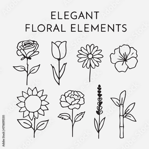elegant floral elements line art vector design