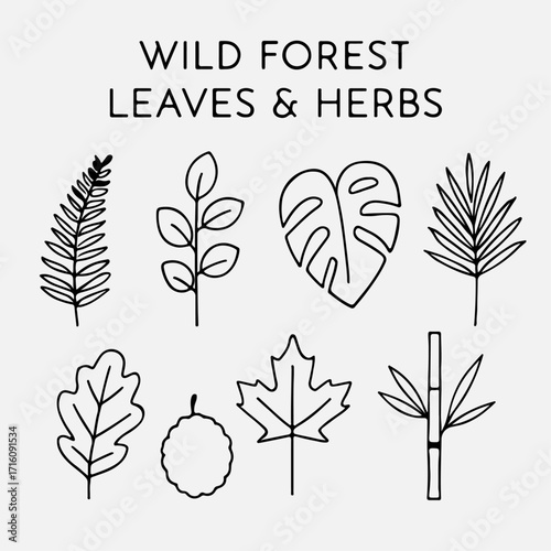 wild forest leaves and herbs