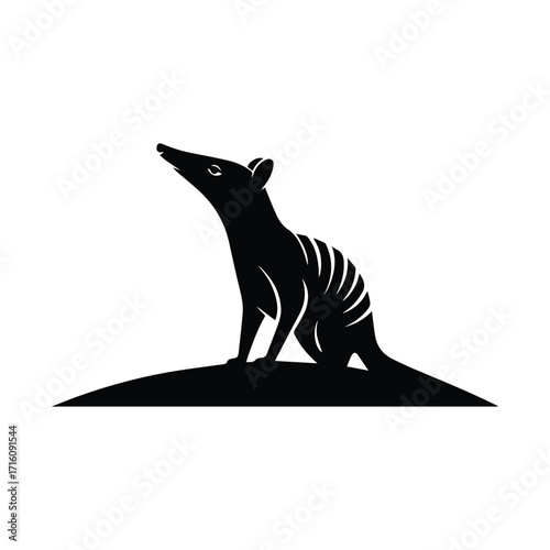 Numbat Silhouette Under Light Beams Striking Australian Marsupial Monochrome Wildlife Illustration