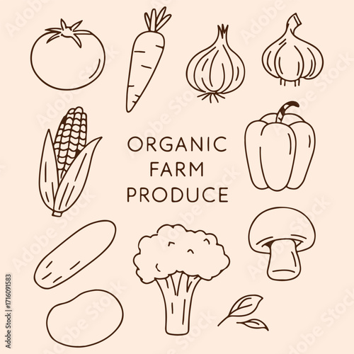 organic farm produce line art vector design 