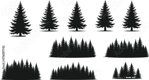Evergreen Tree Silhouette Vector Set Featuring Individual Pines and Forest Clusters for Nature, Landscape, Forestry, Seasonal, and Design Use