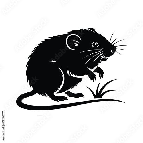 Vole Mascot Design Black and White Illustration for Company Branding and Promotion