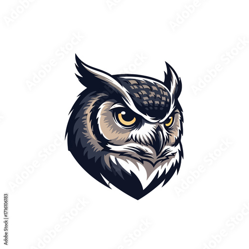 Detailed illustration of a fierce owl head with striking features and intense gaze, set against a plain background