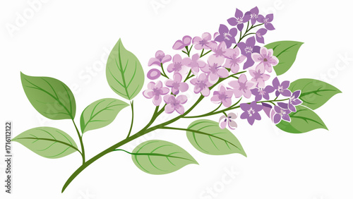 Vector art of a delicate sprig of lilac flowers, featuring soft purple blooms and lush green leaves, perfect for spring designs