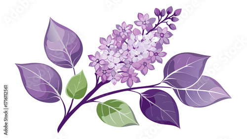 Vector art of a beautiful sprig of lilac with purple flowers and green leaves, a perfect addition to any springthemed design project