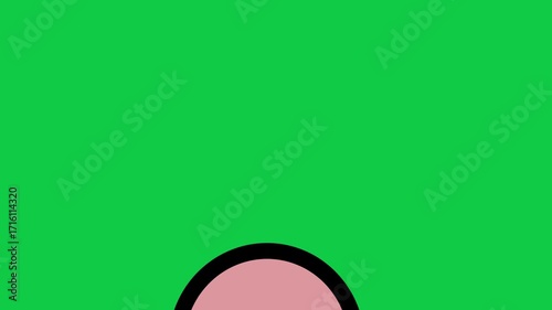 Cartoon Hand Showing Middle Finger Gesture on Green Screen