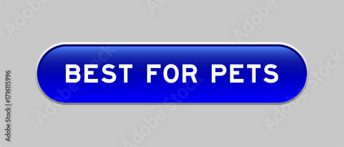 Blue color capsule shape button with word best for pets on gray background
