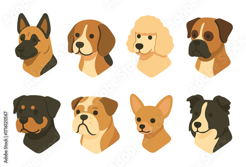Collection of eight stylized dog breeds on golden background